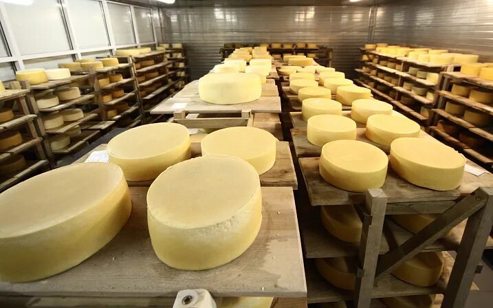 Производство сыра фото SF urged to understand, what support is necessary to producers of cheeses and so