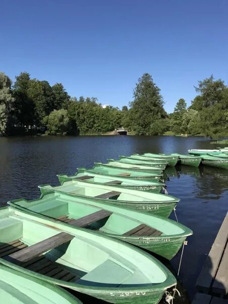 Прокат лодок санкт петербург елагин остров фото Цпкио кирова санкт петербург - найдено 89 фото