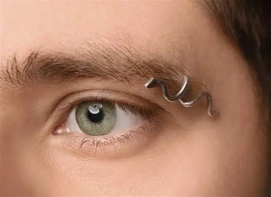 Прокол брови фото 10 популярных идей на тему "mens eyebrow piercing" для вдохновения