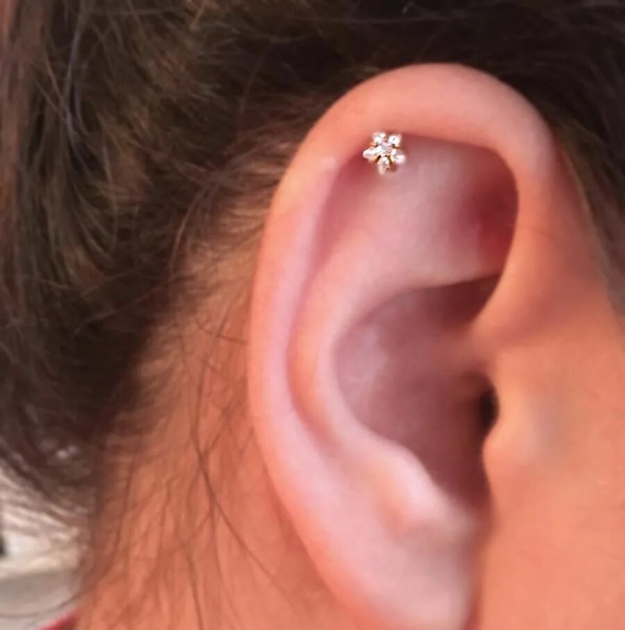 Прокол хряща уха фото Lucky Swarovski Star Ear Piercing Star earrings stud, Earings piercings, Tragus 