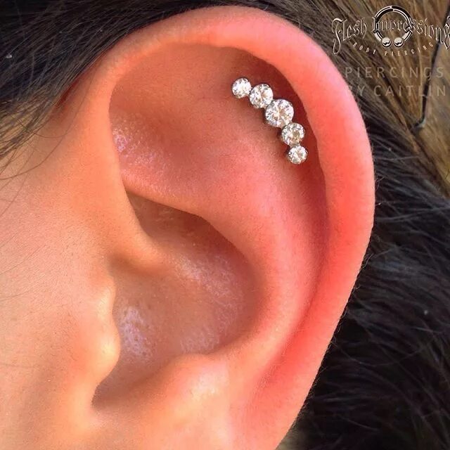 Прокол хряща уха фото Pin by Anahi Muniz on Piercings Ear jewelry, Ear piercings cartilage, Ear pierci