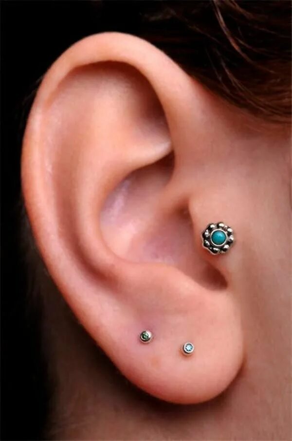 Прокол уха трагус фото wowmuseum.org Ear piercings tragus, Tragus piercings, Ear piercings