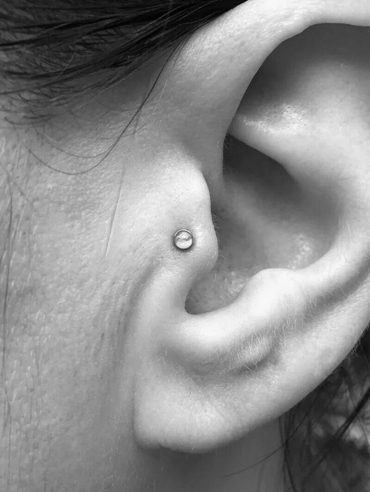 Прокол уха трагус фото Pin by Miguelita Moore on ear piercings Nose ring, Ear piercings, Piercings