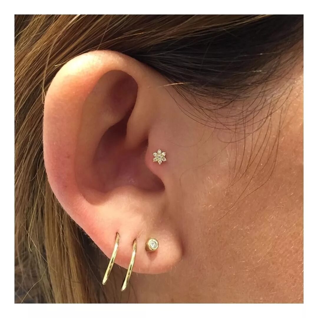 Прокол уха трагус фото See this Instagram photo by @maria_tash * 1,244 likes Tragus piercing earrings, 