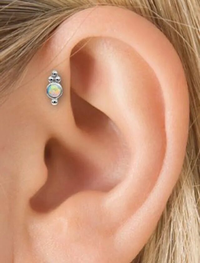 Прокол уха трагус фото Really like this jewelry ! Need it for my forward helix. Joyería para el cuerpo,