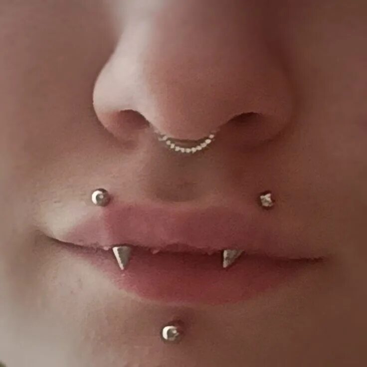 Прокол укус ангела фото пирсинг, септум, лабрет, укус змеи Mouth piercings, Emo piercings, Face piercing