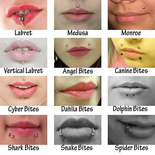 Прокол укус змеи фото Which is your favourite lip piercing? Do you have one? Lip piercing, Piercings, 