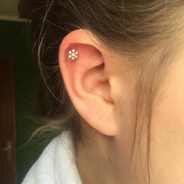 Прокол ушей хеликс фото Pin on piercings que eu quero mais falta coragem Ear piercing studs, Earings pie