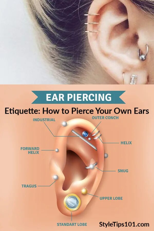 Прокол ушей как называется все виды фото Ear Piercing Etiquette #earpiercing #styletips101 Ear piercings, Ear, Different 