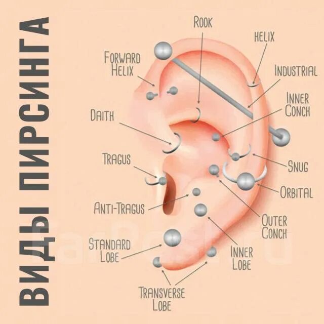 Прокол ушей как называется все виды фото Колем ушки детям и делам пирсинг всем) системой Studex во Владивостоке