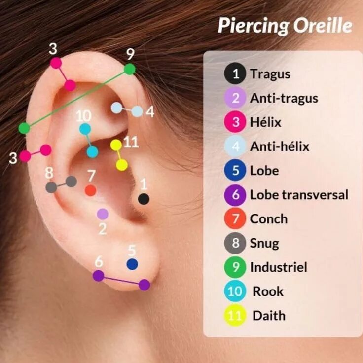 Прокол ушей как называется все виды фото Pin by Nick Wangai on Piercing Ear piercings chart, Types of ear piercings, Ear 