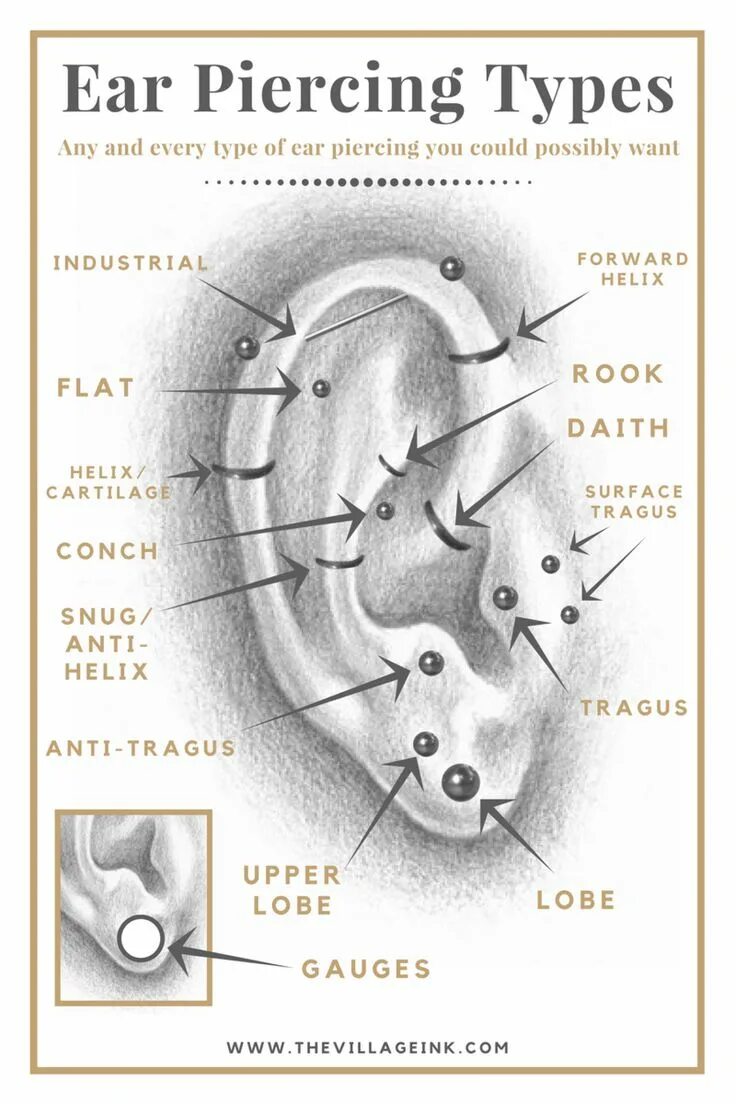 Прокол ушей как называется все виды фото Ear Piercing Types Ear piercings chart, Piercing chart, Types of ear piercings