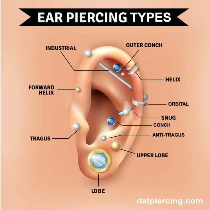 Проколы уха названия с фото The Different Types Of Ear Piercing And Their Names u2013 Dat Piercing Ear pierc