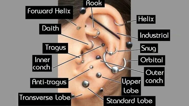 Проколы ушей виды фото и названия Types of Ear Piercings: Best Ear Piercing Chart and Guide Ear piercing diagram, 