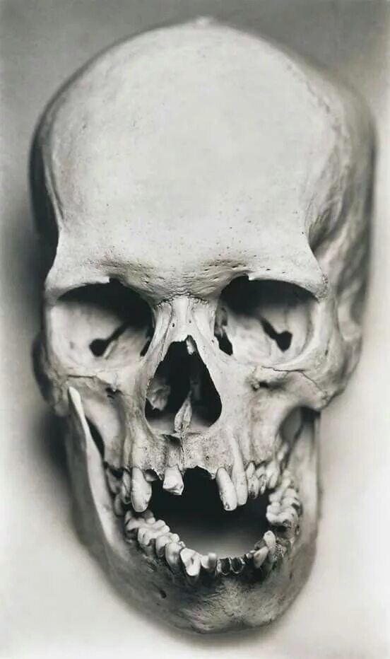 Проломленный череп фото Pin by Vladimir Denisov on Art Skull reference, Skull anatomy, Skulls drawing