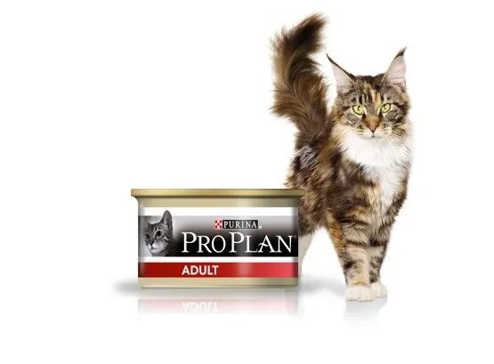 Купить Purina Pro Plan (Пурина Про План) для стерилизованных кошек и кастрирован