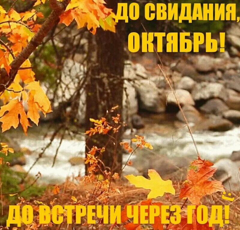 Прощай сентябрь фото До свиданья, октябрь!