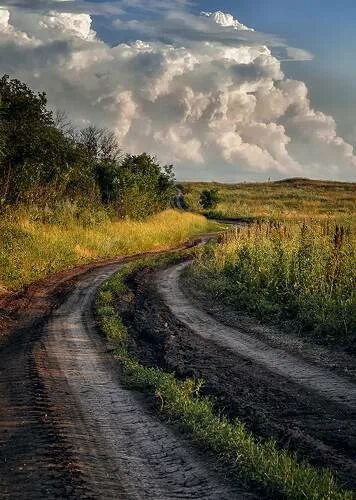 Проселочная дорога фото Дорога в облака. Photographer Didenko Yuriy