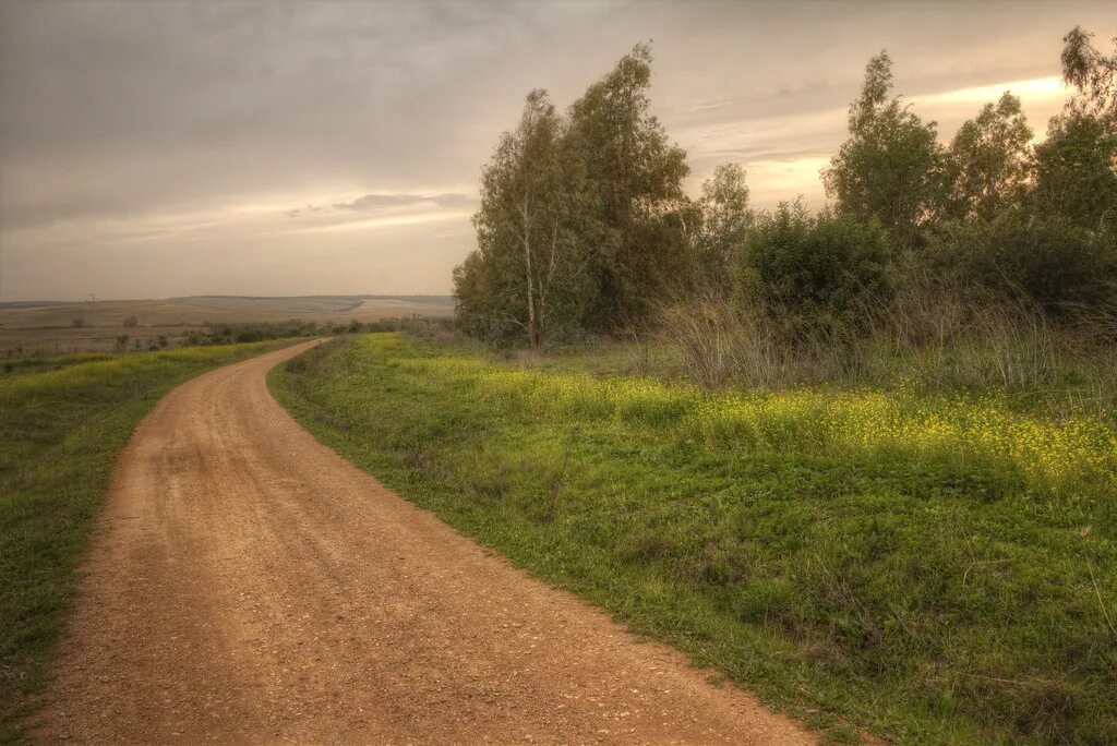 Проселочная дорога фото Caminos Caminando siempre hacia la luz Zu Sanchez Flickr