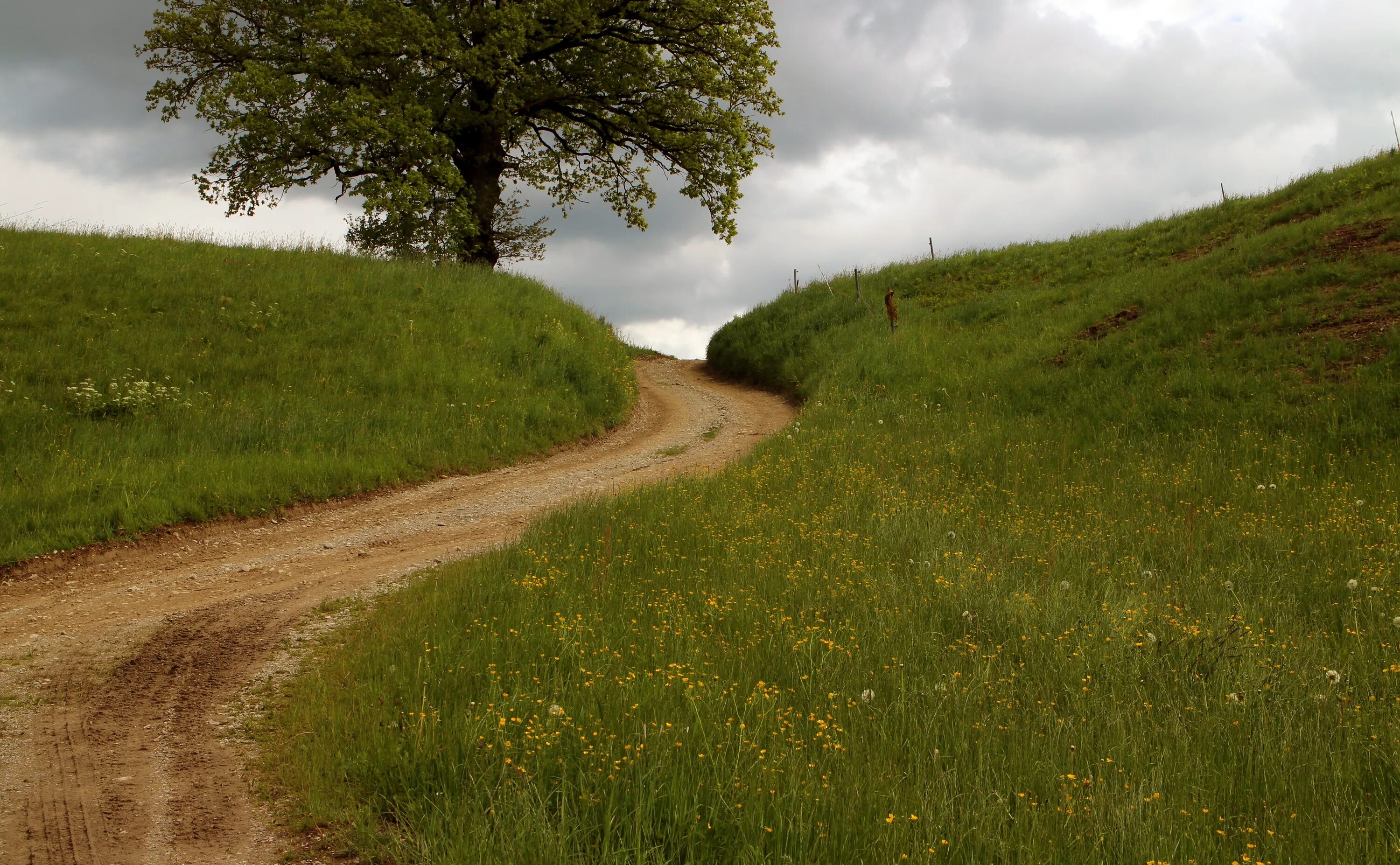 Проселочная дорога фото Free Images : coast, tree, nature, mountain, plant, trail, field, lawn, meadow, 