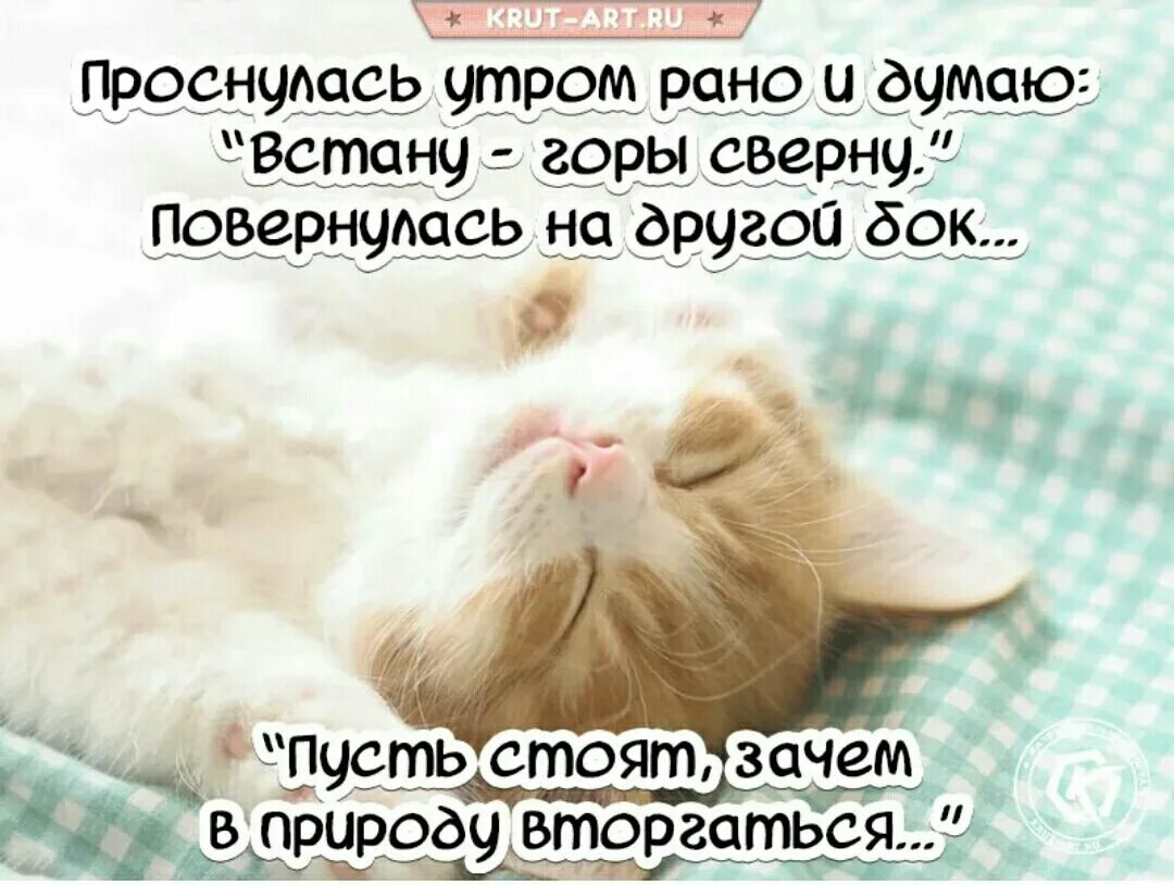 Проснулись доброе утро картинки прикольные Уснула рано и спала текст: найдено 86 изображений