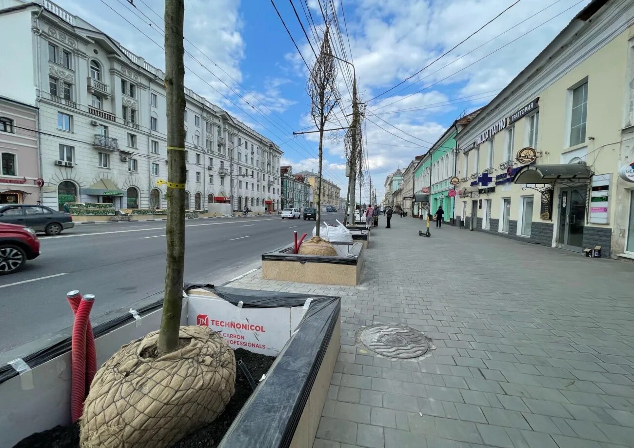 Проспект ленина тула фото В бетонные модули на проспекте Ленина стали высаживать липы-крупномеры Тульская 