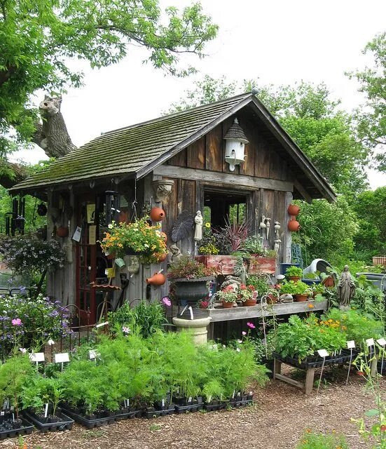 Простая дача своими руками фото Garden Shed Garden design, Cottage garden, Modern garden design