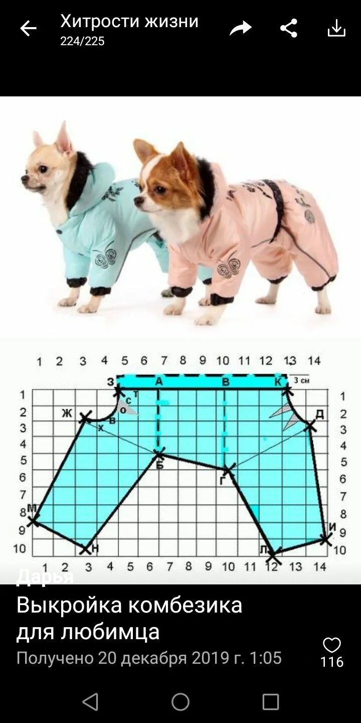 Простая выкройка одежды для собак своими руками Pin on Для дома Dog clothes patterns, Dog pants, Dog clothes diy