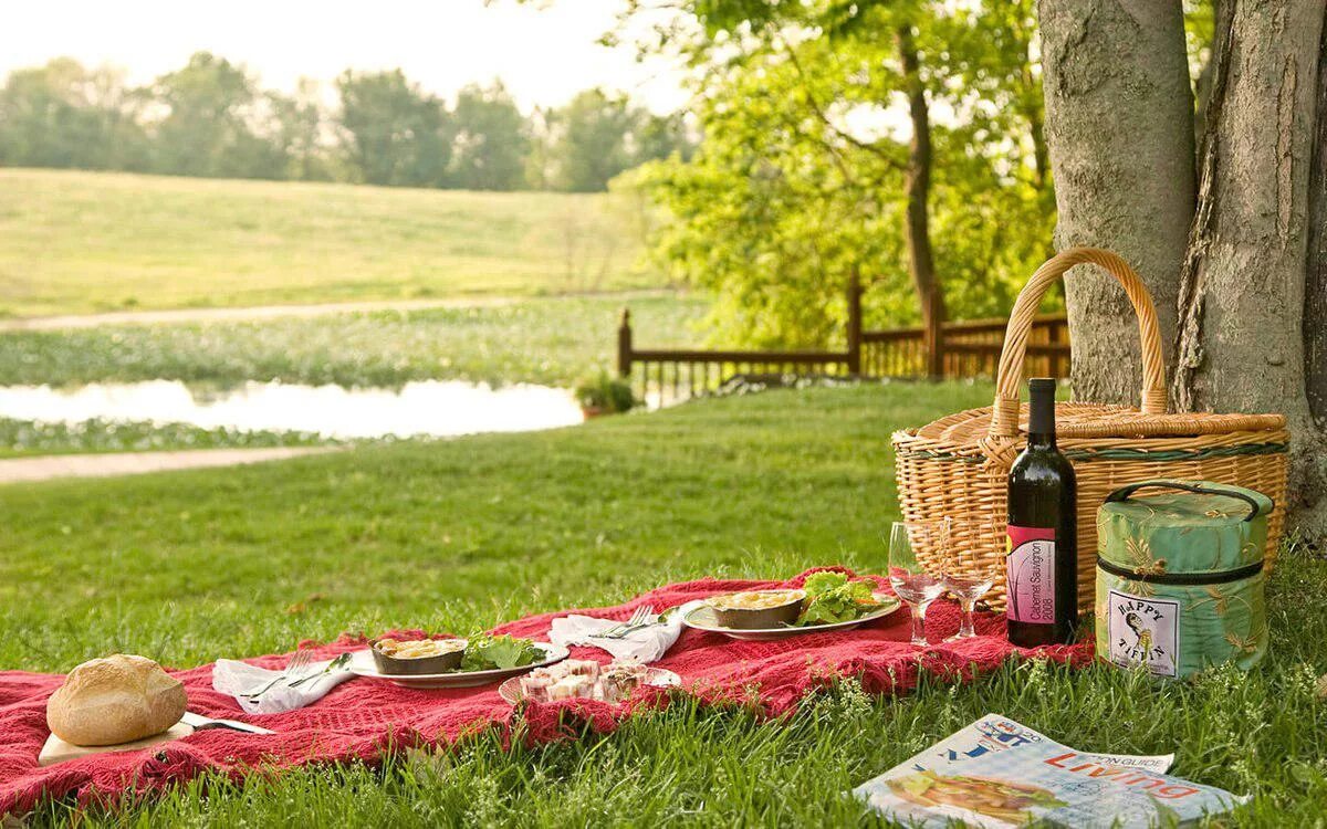 Просто фото пикника Всем быть! Юбилейный Wine Picnic в Серебряном бору