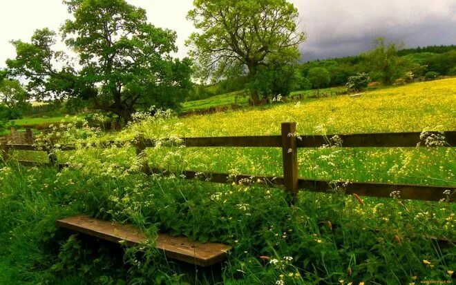 Простое лето фото ЛЕТО Landscape, Garden bridge, Sky and clouds