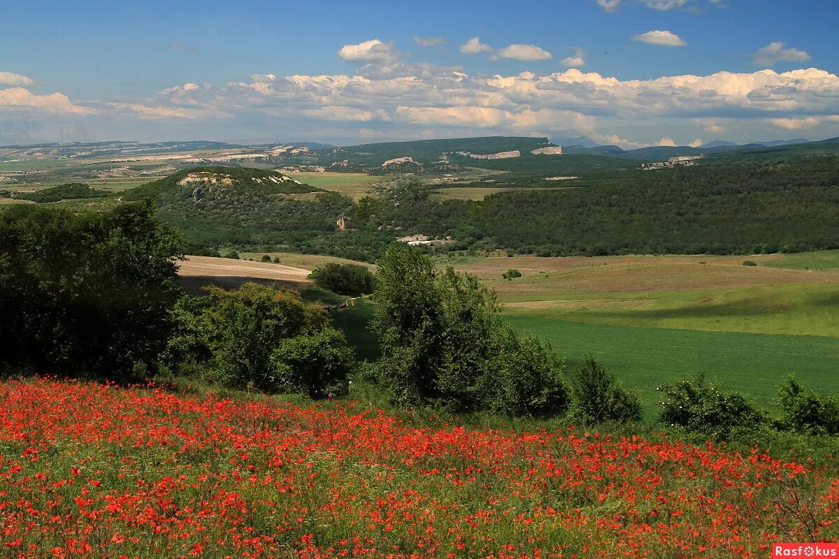 Просторы крыма фото Фото: Крымские просторы. Фотограф Елена Филиппова. Пейзаж. Фотосайт Расфокус.ру