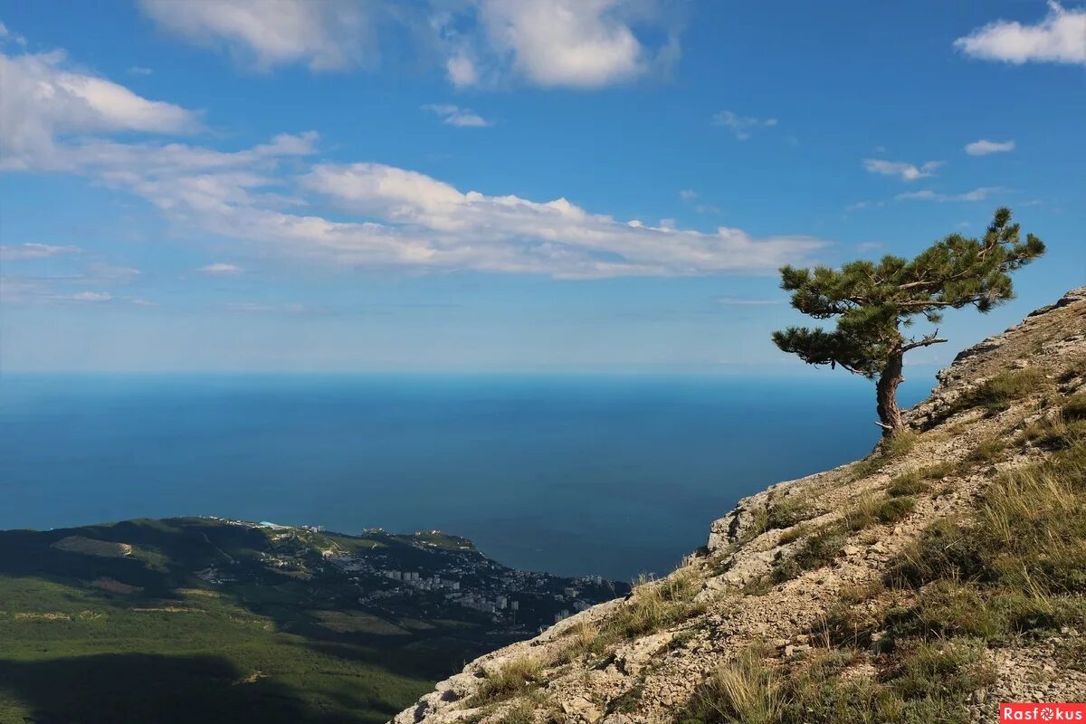 Просторы крыма фото Фото: Просторы Крыма. Фотограф Елена Голос. Пейзаж. Фотосайт Расфокус.ру