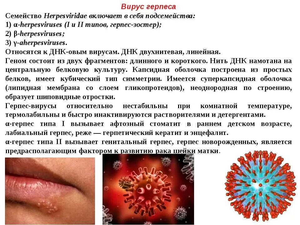 Простой герпес фото Antibiotics trigger herpes outbreak