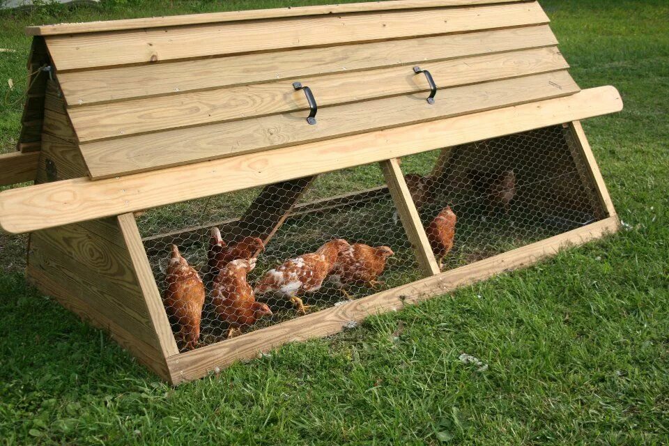 Простой курятник на даче своими руками Chickens Chickens Everywhere! Portable chicken coop, Chicken tractor, Chickens b