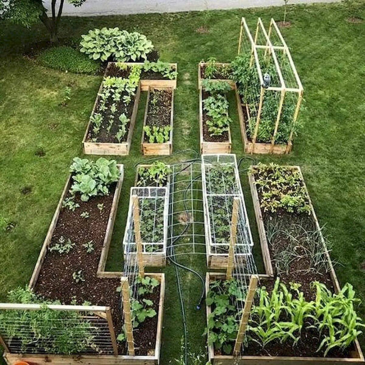 Простой огород фото 40 Stunning Vegetable Garden Design Ideas Perfect For Beginners - Ideaboz - #beg