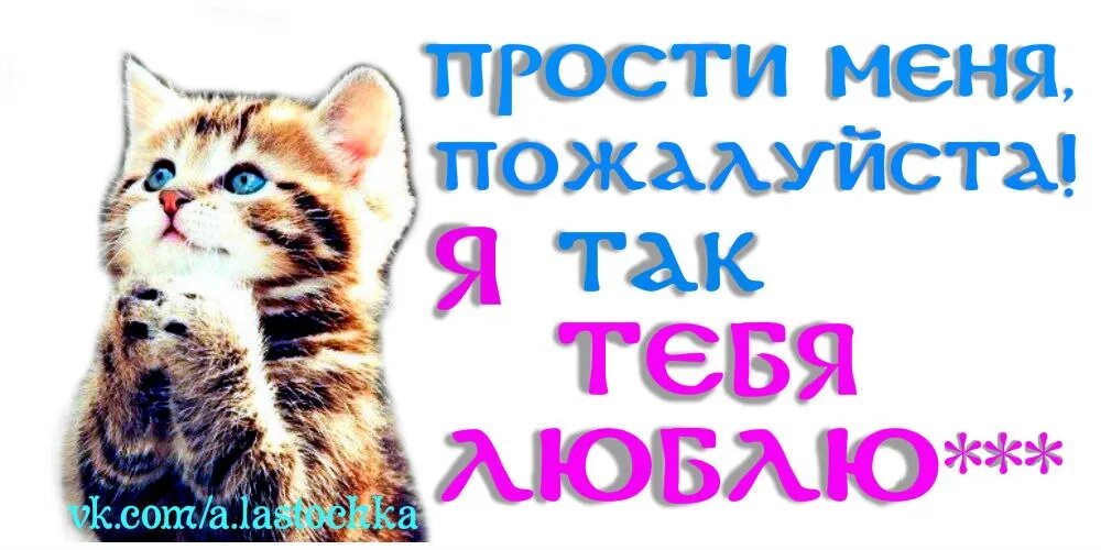 Просты меня любимый фото новая тема:любите животных)) 2012 верите не верите,а мне похуй:) ВКонтакте