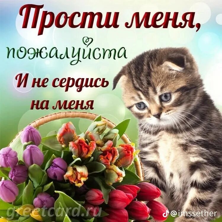 Просты меня любимый фото Create meme "Please forgive me., please forgive me , excuse me" - Pictures - Mem