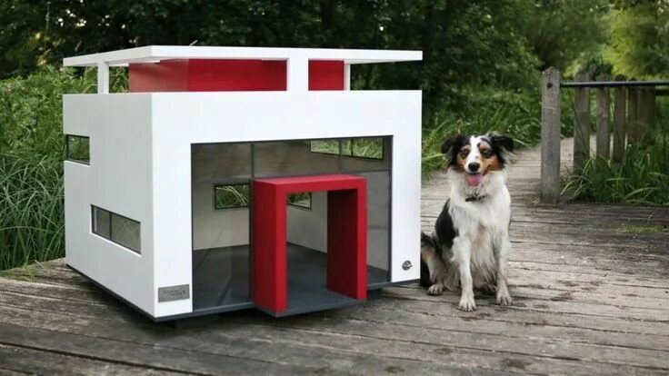 Amazon.com: asl solutions insulated dog palace