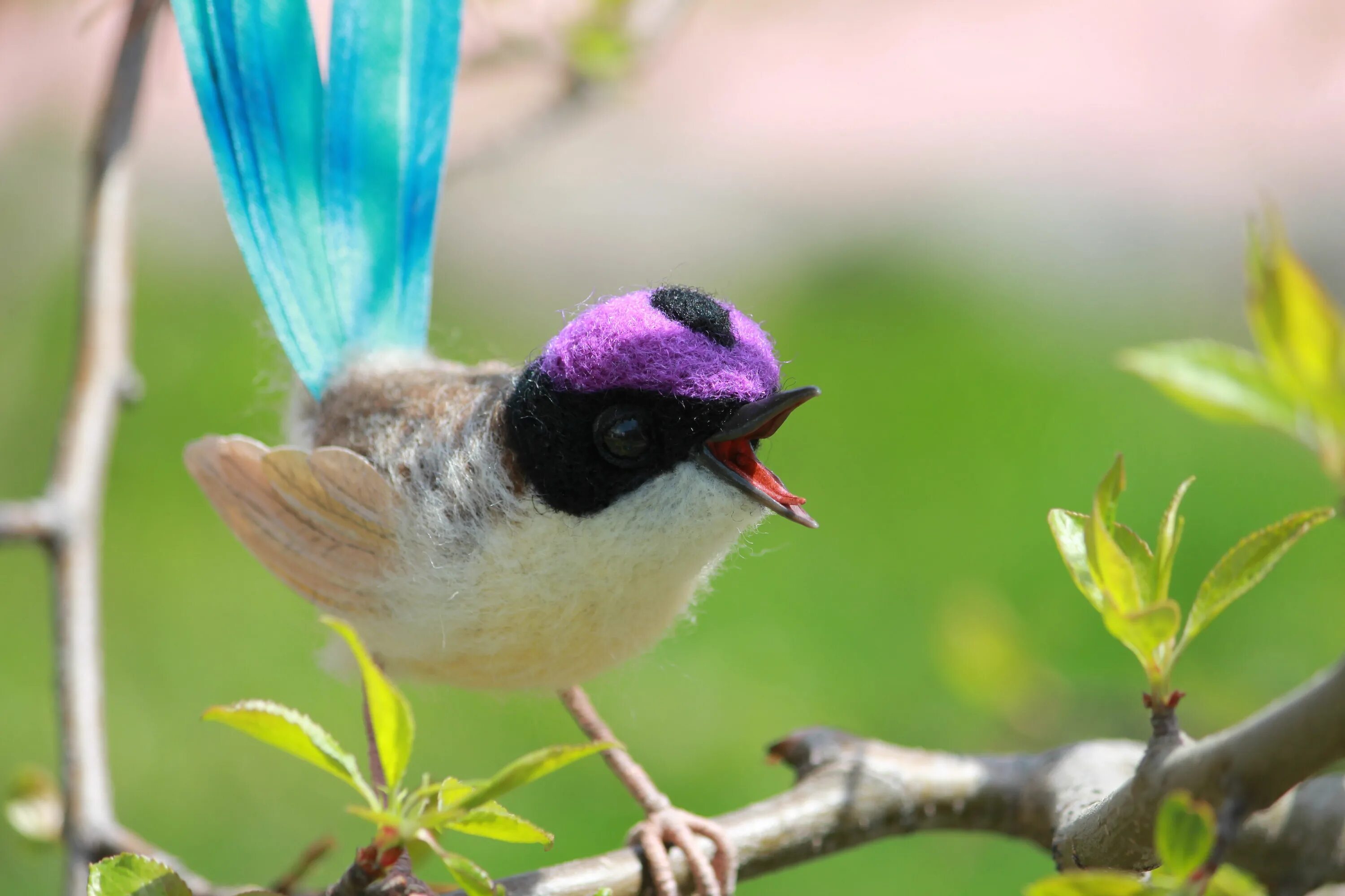 Простые фото птиц Purple crowned wren Purple bird, Purple crown, Kawaii