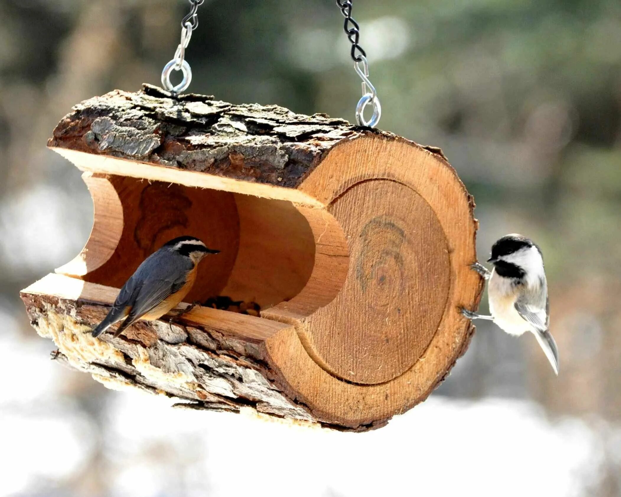 Простые кормушки фото Декоративные скворечники и кормушки из дерева - фото Rustic bird feeders, Diy bi