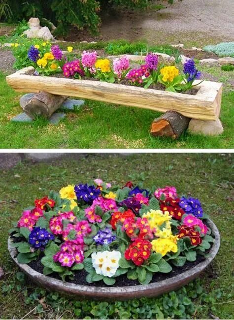 Простые красивые клумбы своими руками фото Primulas are beautiful flowers which bloom in spring Flower garden design, Conta