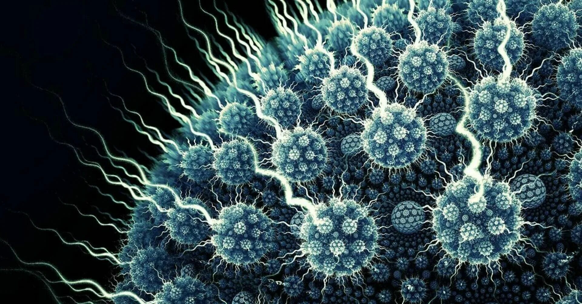 Простые вирусы фото For Rospotrebnadzor's attention: where exactly do viruses multiply - We are cove