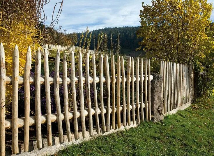 Простые заборы фото 9 Prodigious Cool Tips: Bamboo Fence Summer fence landscaping flowers.Fence Plan