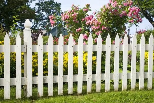 Простые заборы фото Деревянный забор для дачи: красивые идеи White picket fence, Building a fence, P