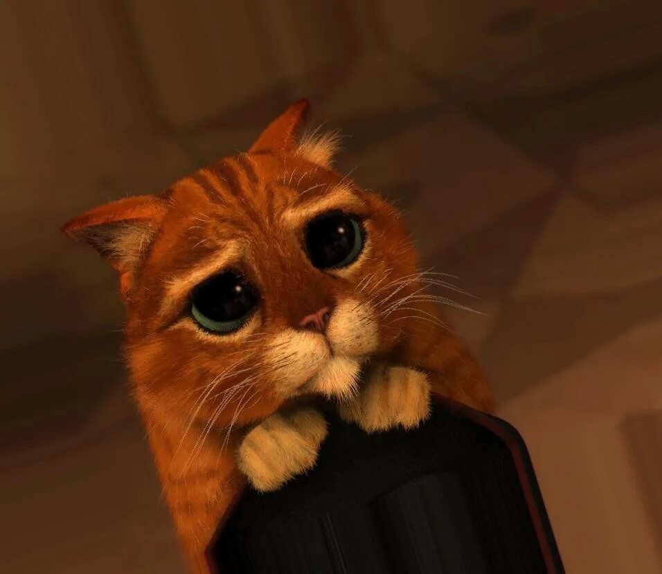 Просящие глаза фото Create meme "Shrek cat, sad cat from shrek, the cat from Shrek" - Pictures - Mem