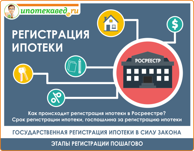 Процедура оформления квартиры в ипотеку Срок регистрации ипотеки в росреестре: найдено 75 изображений