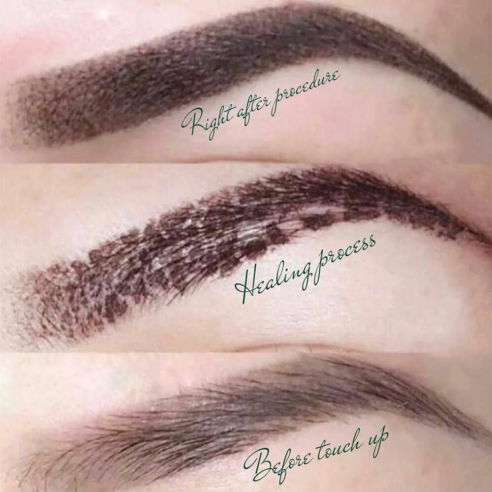 Процесс перманентного макияжа Powder Brows Healing Process: Full Day by Day Overview - PMUHub Microblading hea