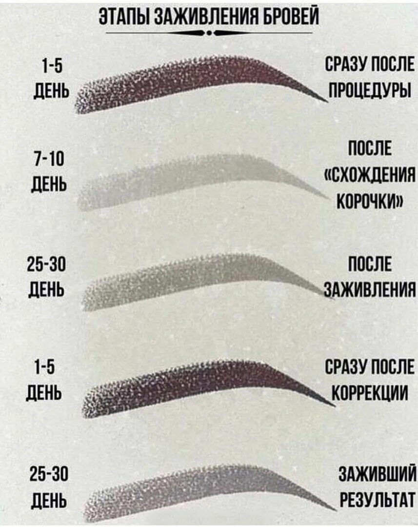 Процесс заживления перманентного макияжа бровей Пм бровей заживление - журнал 13malyshok.ru