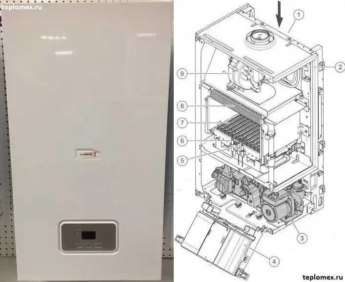Протерм гепард котел подключение Котел Protherm Гепард 12 MTV 11кВт настенный/двухконтурный турбо купить в Тюмени