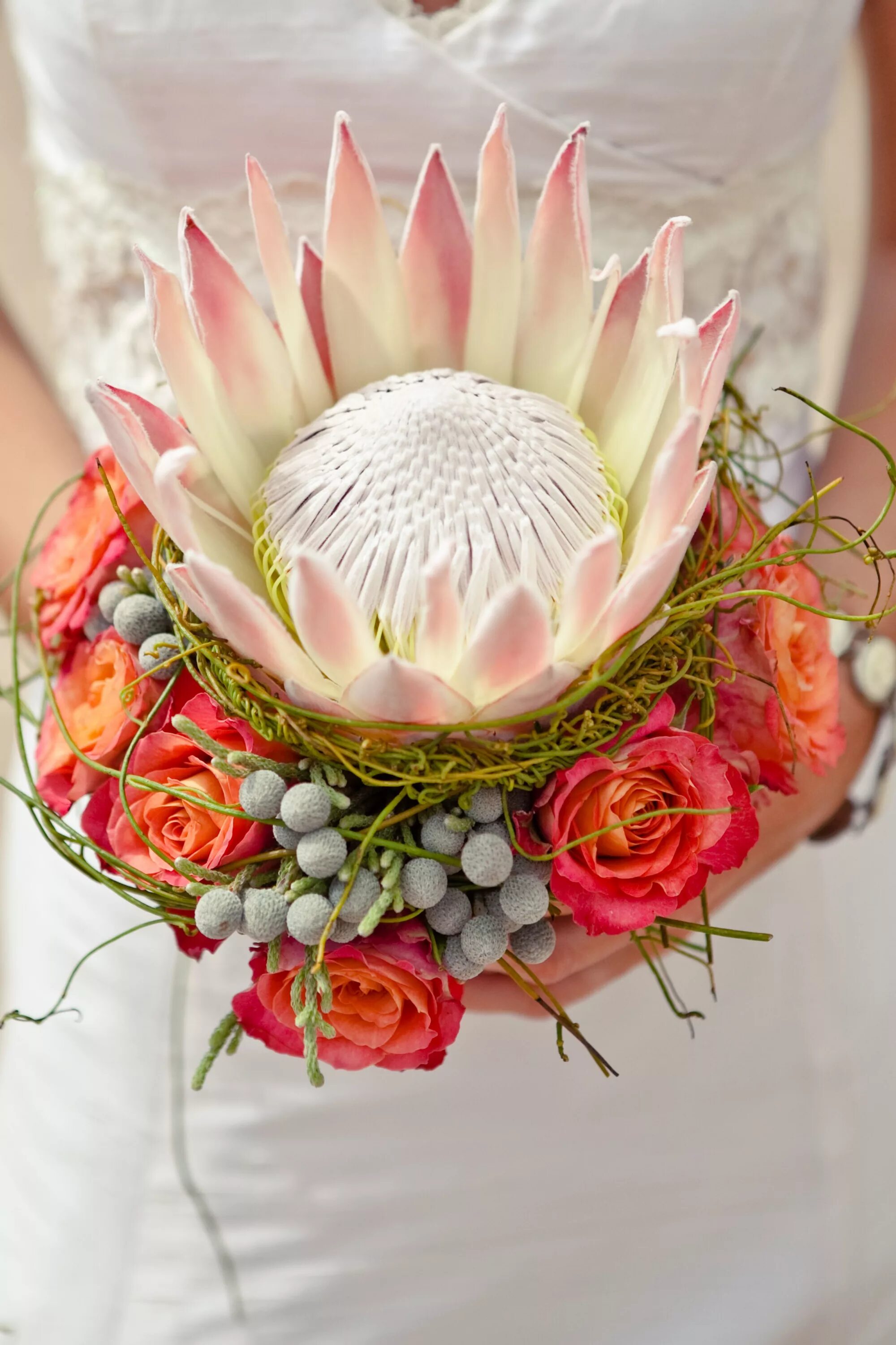 Протея цветок фото букет www.weddingconcepts.co.za Photo by Christine Meintjes Bridal bouquet, Luxury wed